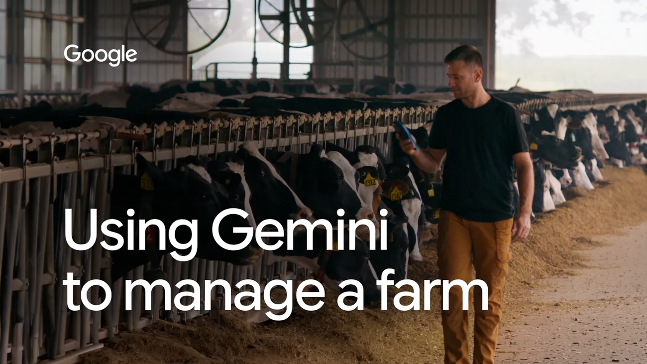 SearchMarket разбирает: How Gemini Flash agents are helping a Michigan dairy farmer
